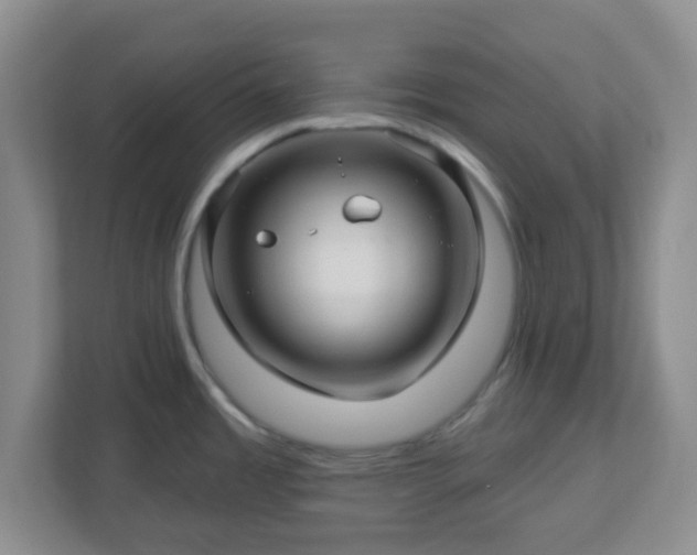 X0000113121485200909041256