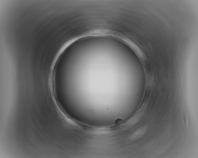 X0000113121486200909041256