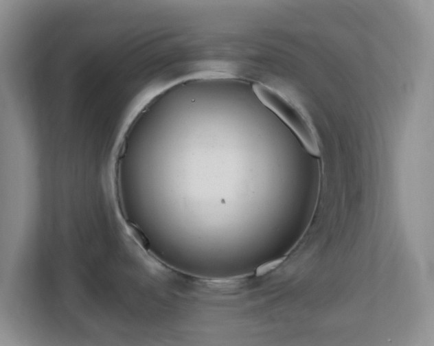 X0000113121488200909041256