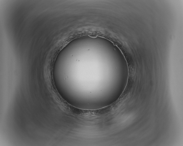 X0000113121489200909041255