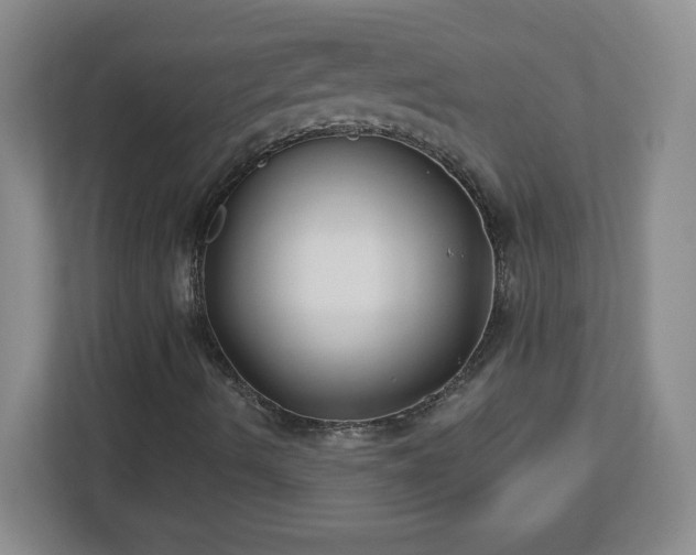 X0000113121490200909041255