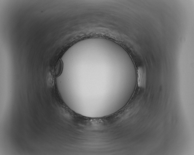 X0000113121491200909041255