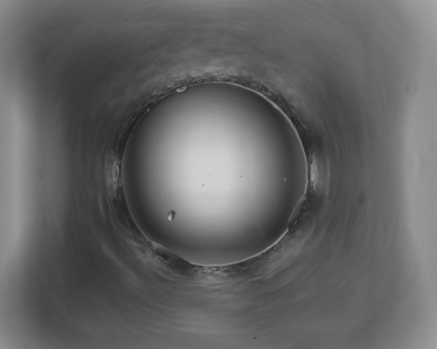 X0000113121492200909041255