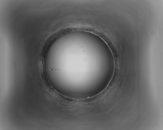 X0000113121493200909041255