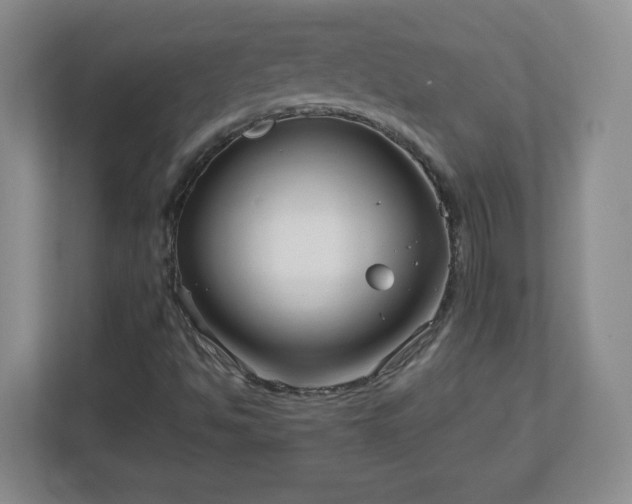 X0000113121494200909041255