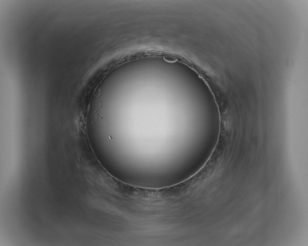 X0000113121495200909041255