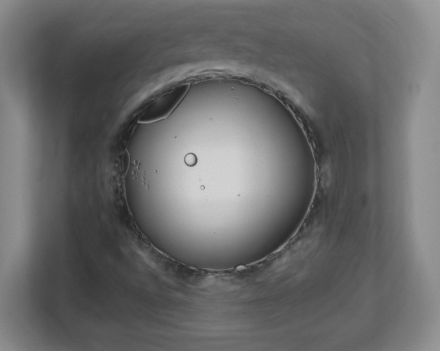 X0000113121496200909041255