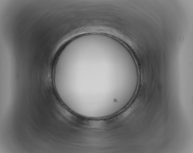 X0000113121498200909041255