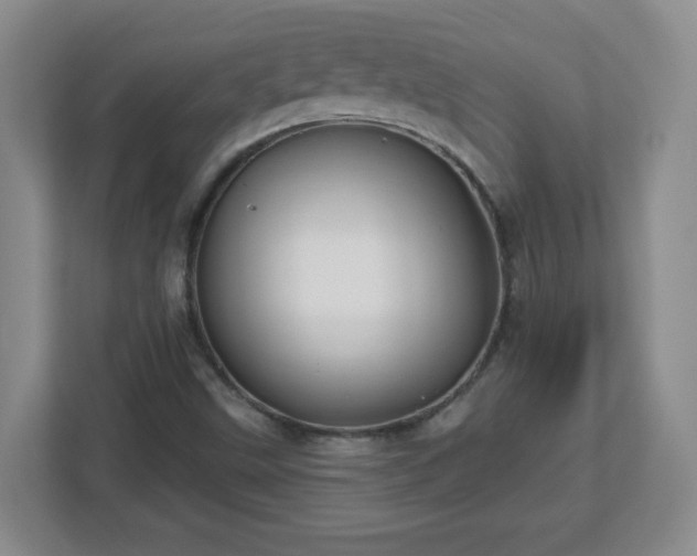 X0000113121499200909041255