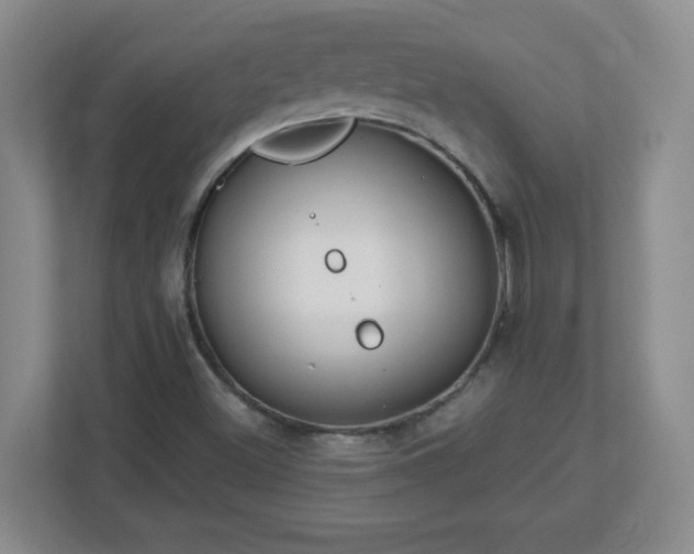 X0000113121500200909041255