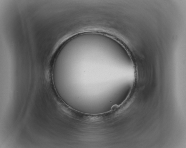 X0000113121501200909041255