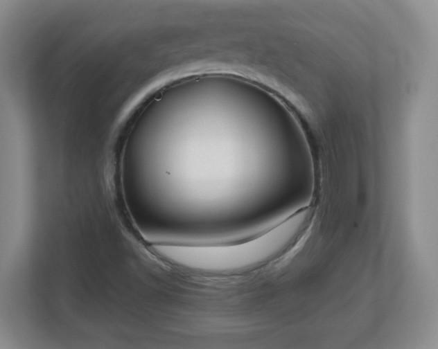 X0000113121502200909041255