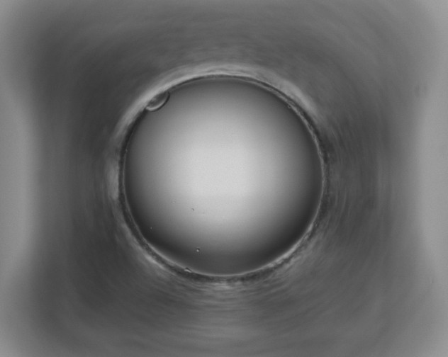 X0000113121504200909041255