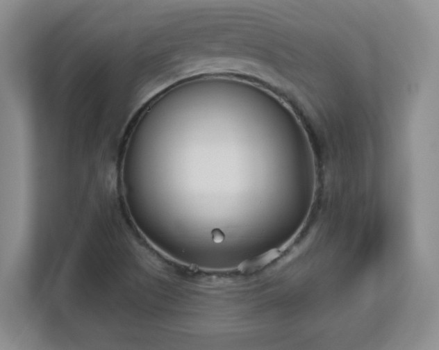 X0000113121505200909041255