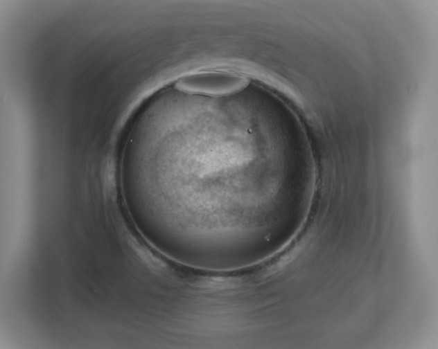 X0000113121506200909041255