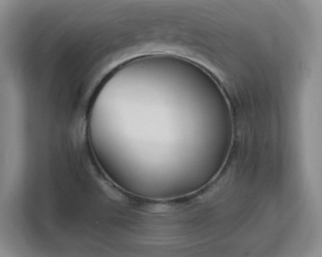 X0000113121507200909041255