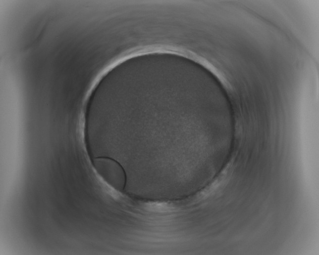 X0000113121508200909041255