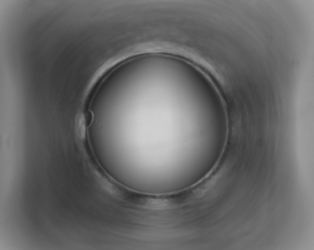 X0000113121509200909041255