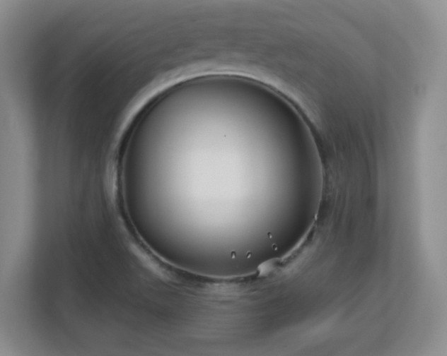 X0000113121511200909041255