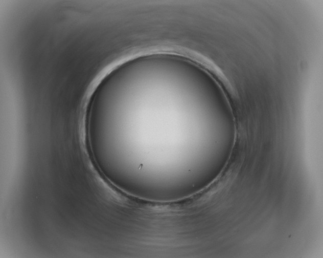 X0000113121512200909041255