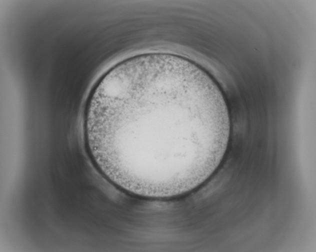 X0000113121514200909041256