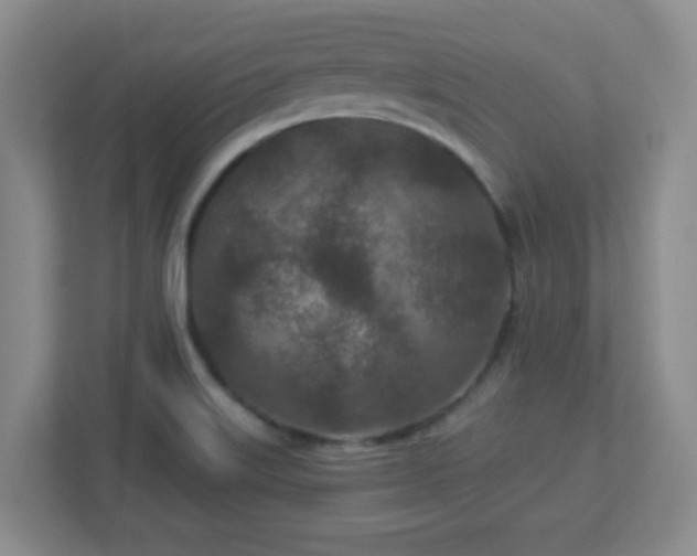 X0000113121515200909041256