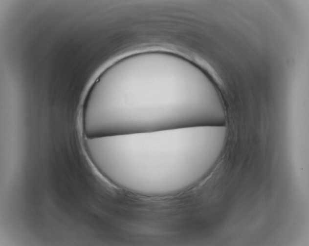 X0000113121516200909041256