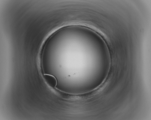 X0000113121517200909041256