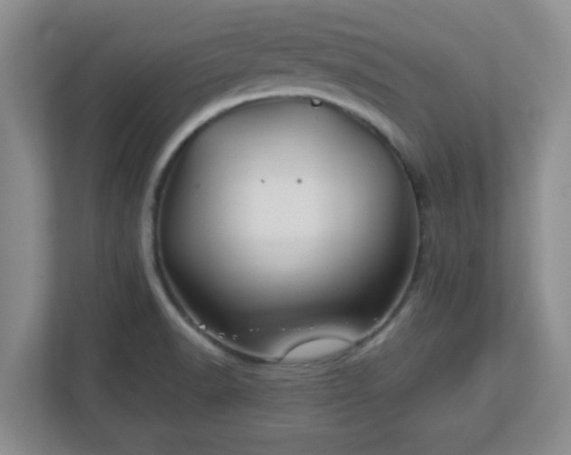 X0000113121518200909041256