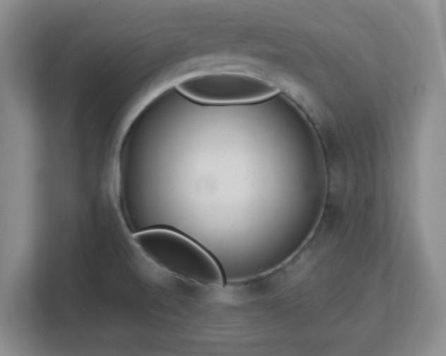 X0000113121520200909041256