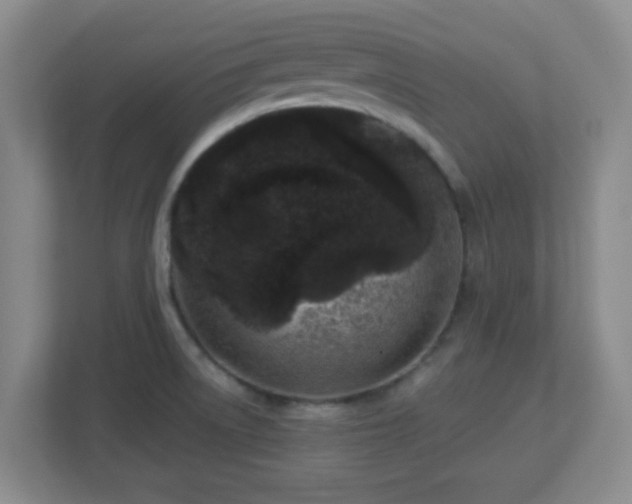 X0000113121522200909041256