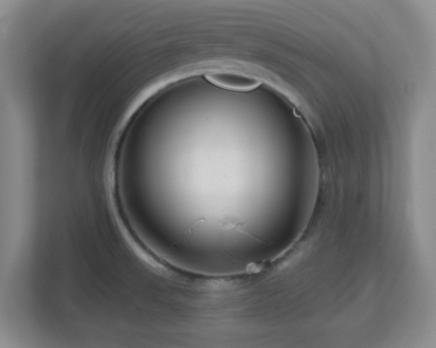 X0000113121523200909041256