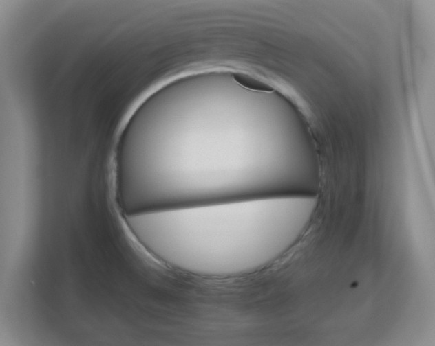 X0000113121524200909041256