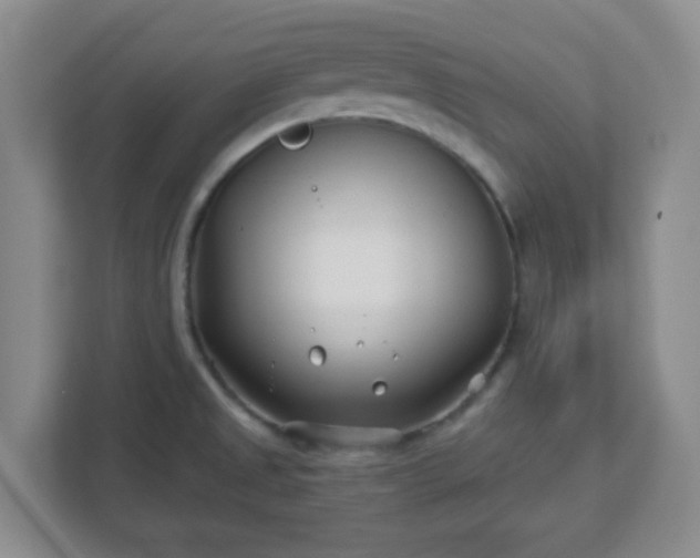 X0000113121525200909041256