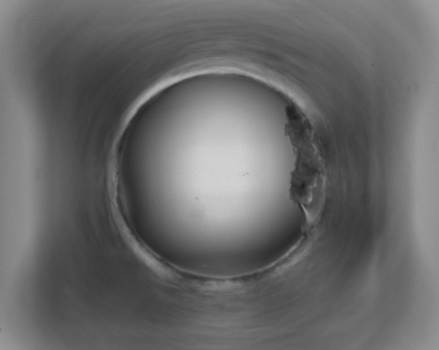 X0000113121526200909041256