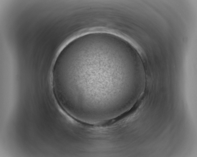 X0000113121527200909041256