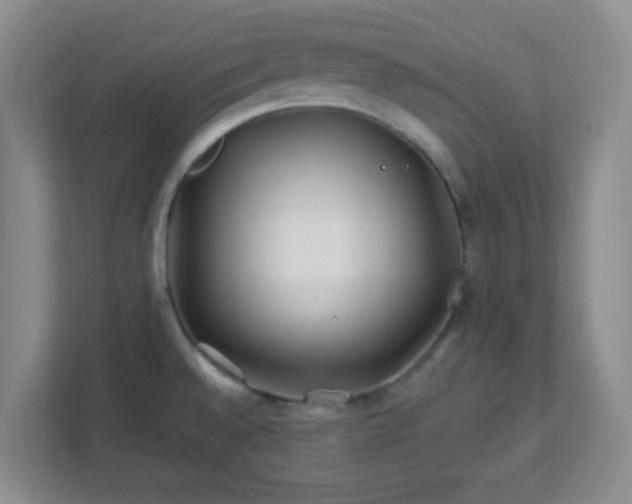 X0000113121528200909041256