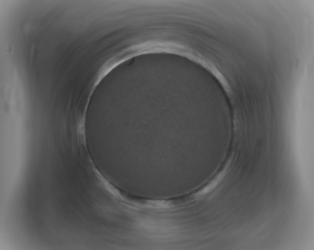 X0000113121529200909041256