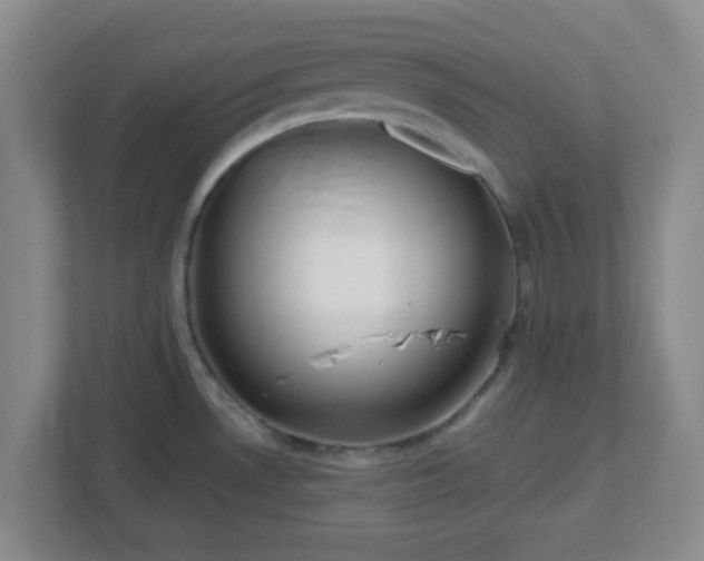 X0000113121530200909041256