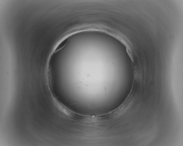 X0000113121532200909041256