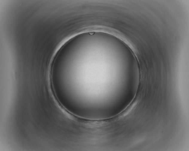 X0000113121533200909041256