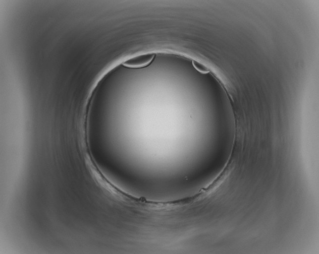 X0000113121534200909041256