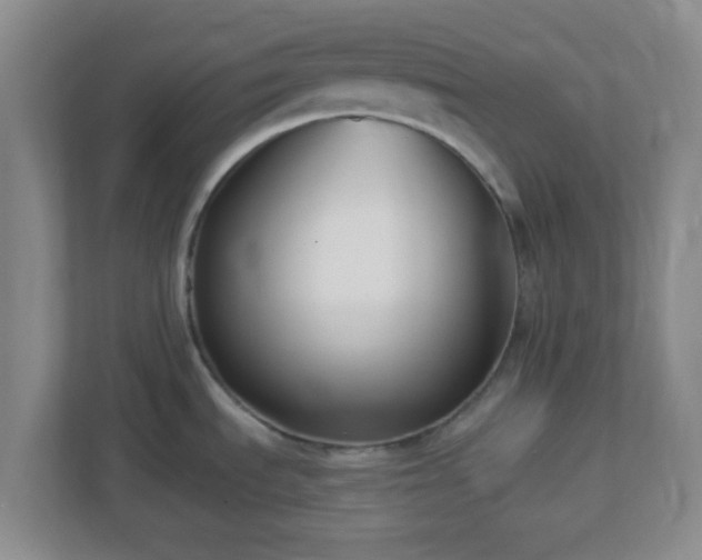 X0000113121535200909041256