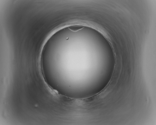 X0000113121536200909041256