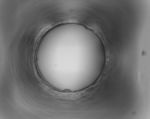 X0000113120001200909111150