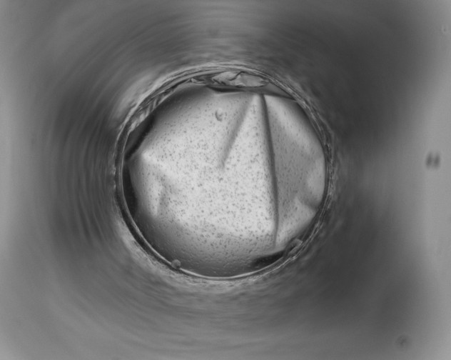 X0000113120002200909111150