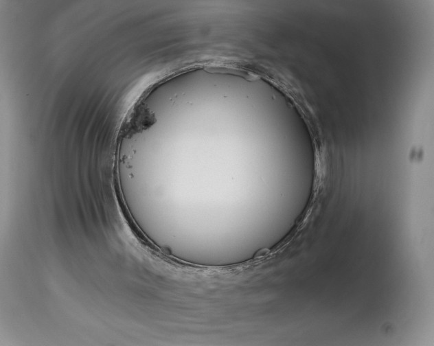 X0000113120003200909111150