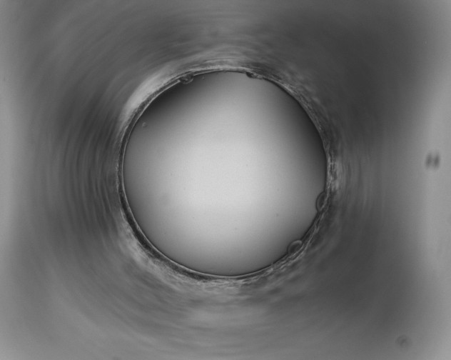 X0000113120004200909111150