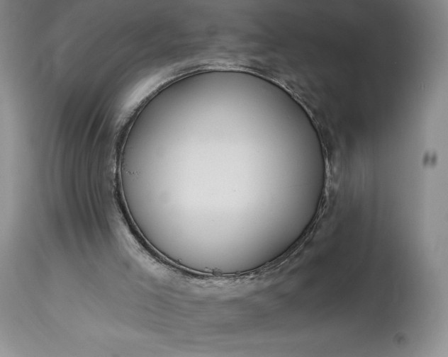 X0000113120005200909111150