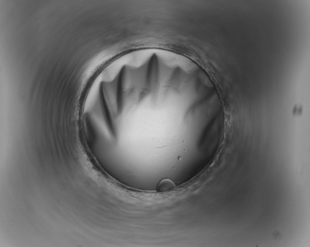 X0000113120006200909111150